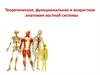 Теоретическая, функциональная и возрастная анатомия костной системы