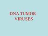 Dna tumor viruses