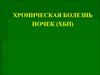Хроническая болезнь почек (ХБП)