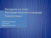 Весенние явления в природе Подмосковья