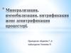 Минерализация, иммобилизация, нитрификация және денитрификация процестері