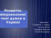 Розвиток мікроекономічної думки в Україні