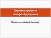 Система крово- и лимфообращения