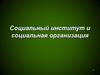 Социальный институт и социальная организация