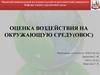 Оценка воздействия на окружающую среду