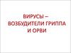 Вирусы – возбудители гриппа и ОРВИ