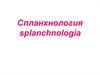 Раздел анатомии спланхнология. (Лекция 1)
