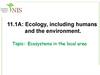 Ecosystems in the local area