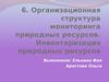 Организационная структура мониторинга природных ресурсов. Инвентаризация природных ресурсов. (Тема 6)