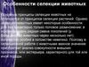Особенности селекции животных