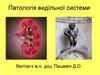 Патологія видільної системи