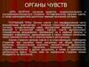 Органы чувств. Строение и функции аппаратов глаза. Строение и гистофизиология органа обоняния