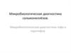Микробиологическая диагностика сальмонеллёзов