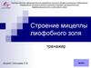 Строение мицеллы лиофобного золя