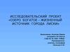 Исследовательский проект «Озеро Богатое – жизненный источник города Лиски»