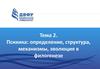 Психика: определение, структура, механизмы, эволюция в филогенезе