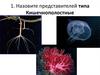 Представители типа Кишечнополостные