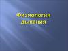 Физиология дыхания