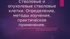 Стволовые и опухолевые стволовые клетки. Определение, методы изучения, практическое применение