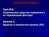 Гражданская оборона. Современные средства поражения и их поражающие факторы. Ядерное и химическое оружие. (Тема 3.1)