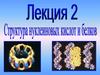 Структура нуклеиновых кислот и белков