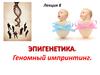 Лекция 8. Эпигенетика. Геномный импринтинг