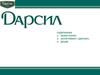 Обзор рынка соусов. Ассортимент «Дарсил»