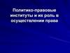 Политико-правовые институты и их роль в осуществлении права