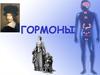 Гормоны. Рецепторы гормонов