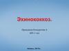 Бауыр эхинококкозы
