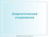 Биоэнергетика. Энергетическое сопряжение