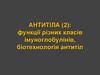 Антитіла: функції різних класів імуноглобулінів, біотехнологія антитіл