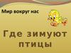 Где зимуют птицы