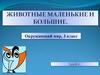 Животные маленькие и большие