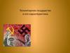 Тоталитарное государство и его характеристика