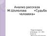 Анализ рассказа Шолохова «Судьба человека»