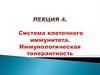 Система клеточного иммунитета. Иммунологическая толерантность