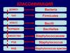 Род Staphylococcus (Стафилококки)