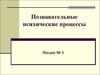 Познавательные психические процессы (лекция 5)