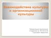 Взаимодействие культуры и организационной культуры