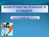Животный мир. (Окружающий мир, 3 класс)