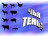 Чья тень (домашние животные и птицы)