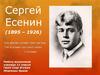 Сергей Есенин (1895-1926)