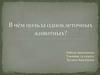 Польза одноклеточных животных