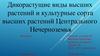 Дикорастущие виды высших растений и культурные сорта высших растений Центрального Нечерноземья