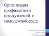 Организация профилактики преступлений в молодёжной среде
