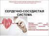 Сердечно-сосудистая система