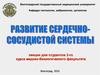 Развитие сердечно-сосудистой системы