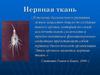 Нервная ткань