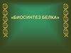 Биосинтез белка